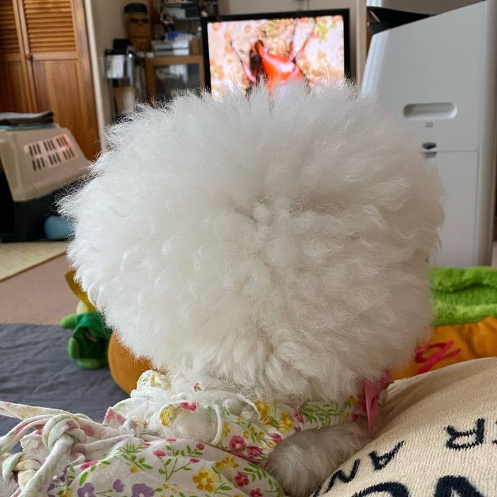 F24712f8 d930 41e0 9976 e0b199119f94 1654848255112