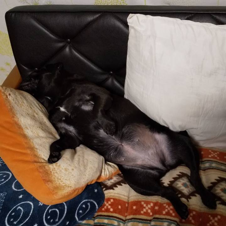 F2471b4d 0593 46b4 b10d 19056ffff959 1559010378775