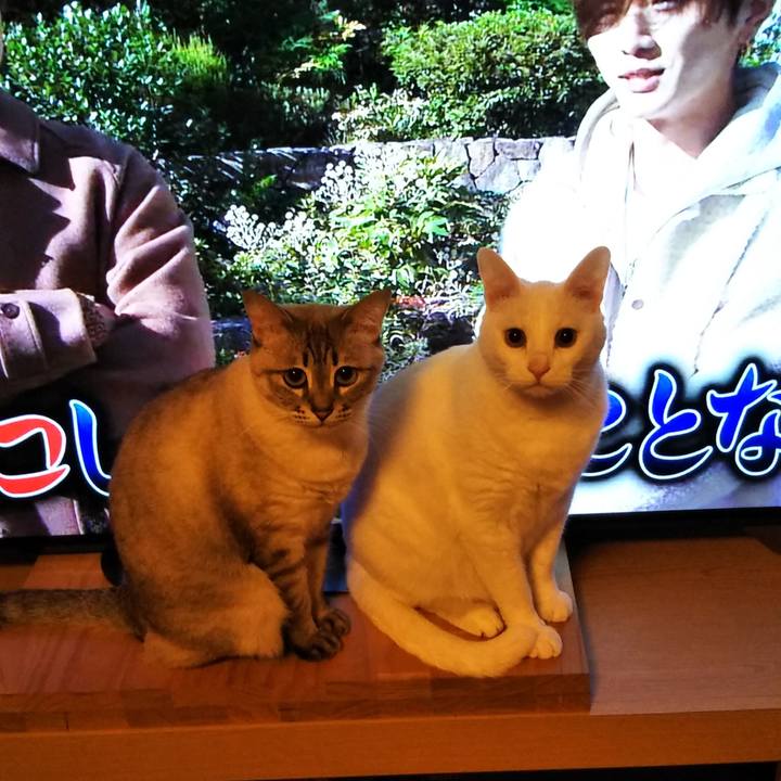 F24721a7 bfb5 48b9 8097 39733bc34f78 1579350632652