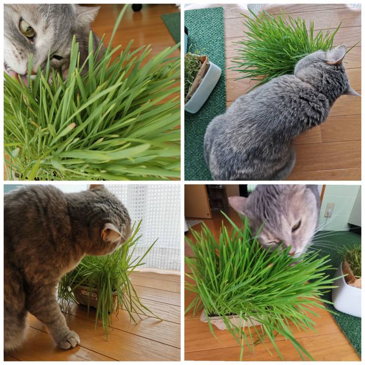 F2472704 14be 4156 b852 45f7fba45180 1599280104109