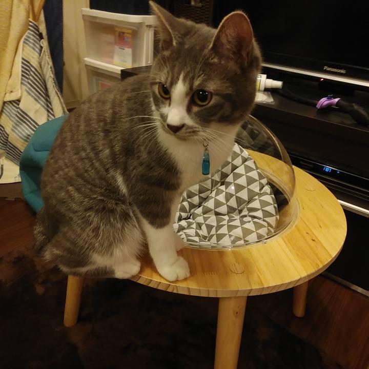 F2473e58 2576 4244 99d3 bbff4f0f47e2 1580112645423