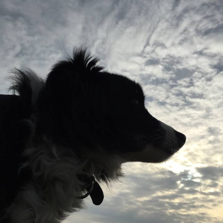 F24796f7 2cf3 4ca3 b9fe d2a68db66988 1547165376295