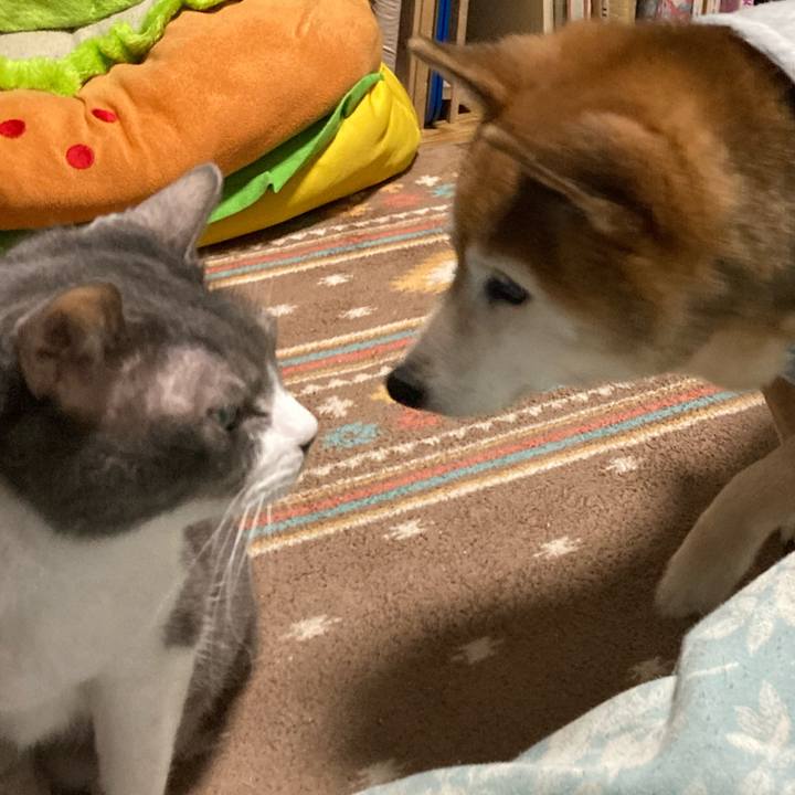 F2479863 d6b2 4253 ae38 371789f8001c 1770712501760