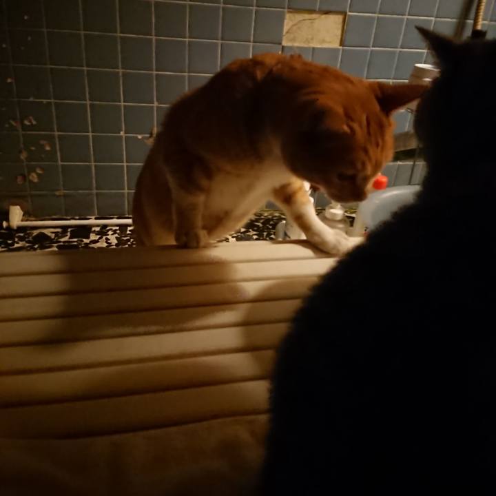 F247be20 d1d5 4162 bfb6 83d7833c26cd 1574673143015