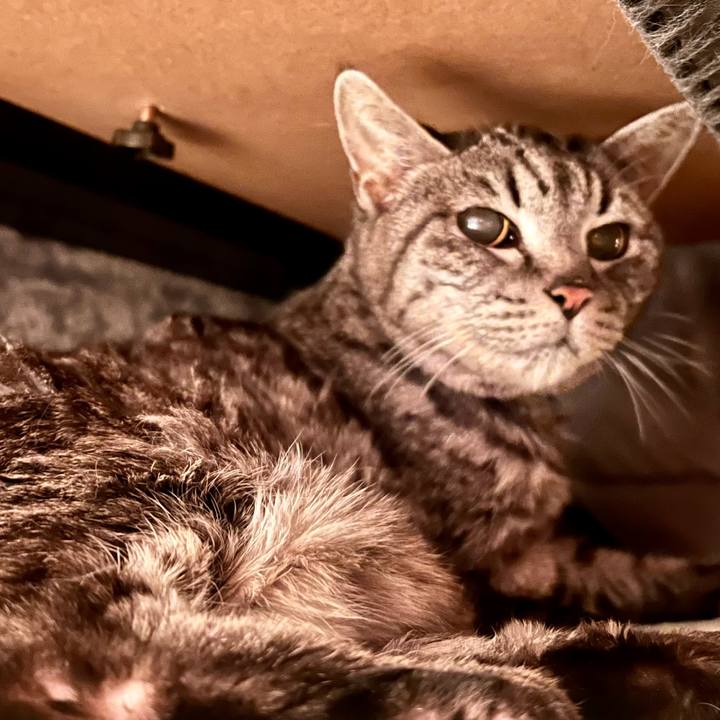 F2480391 4a9b 4cc5 a1c2 d169a5c4adf4 1764333750025