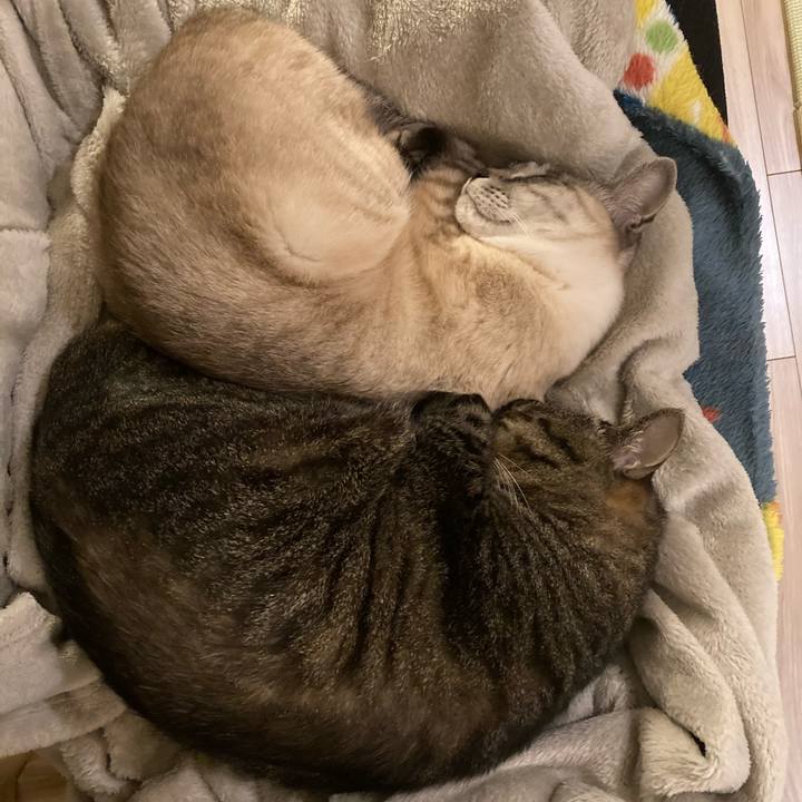 F24806e9 2620 41e4 828b a6d25ee50453 1645788309650