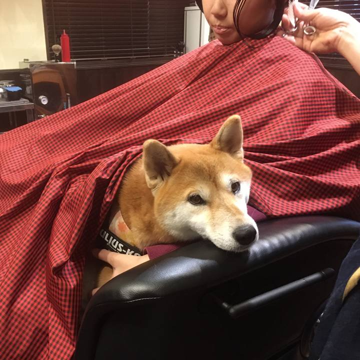 F2480ca7 7cd9 4eef 8dfb 710246384bb5 1509780070627