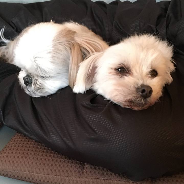 F2480fba 967c 42bd 8108 e9c947b7bef6 1609660711671