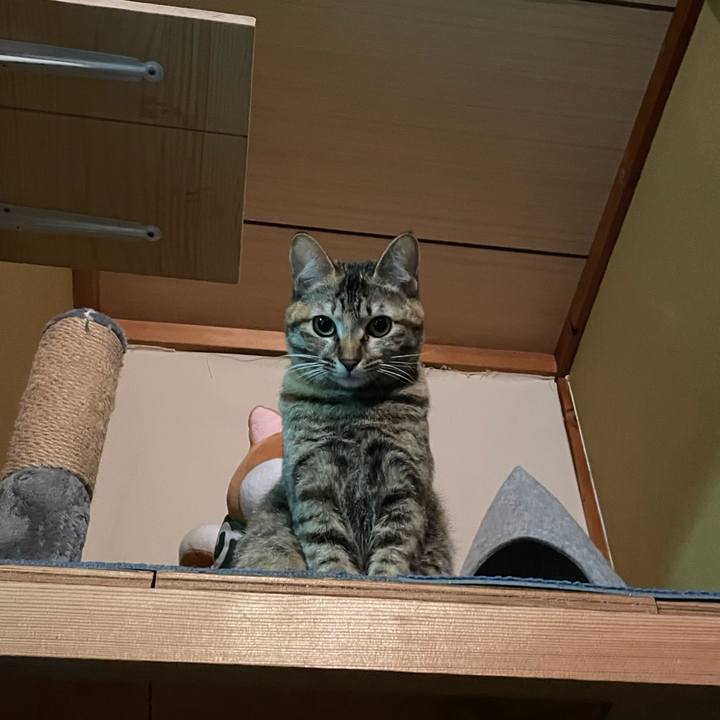 F24810bd 0a4e 4217 8198 f4b515060999 1754891819062