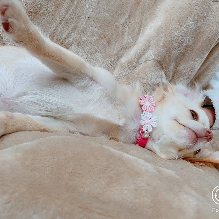 F24843cb bbd3 43ee b0b7 79ca0e89e2aa 1614051705825