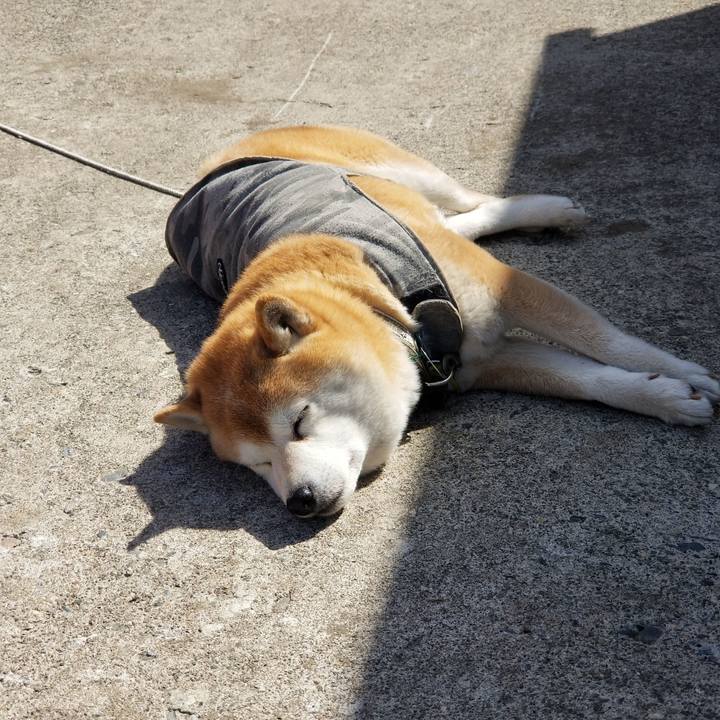 F2484df0 a706 40b7 9082 609c167db053 1648603116652