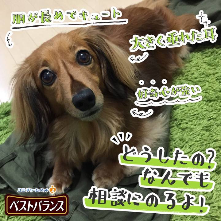 F2487ad3 9f56 4d6b b715 9cffd9cef4d1 1541818268745