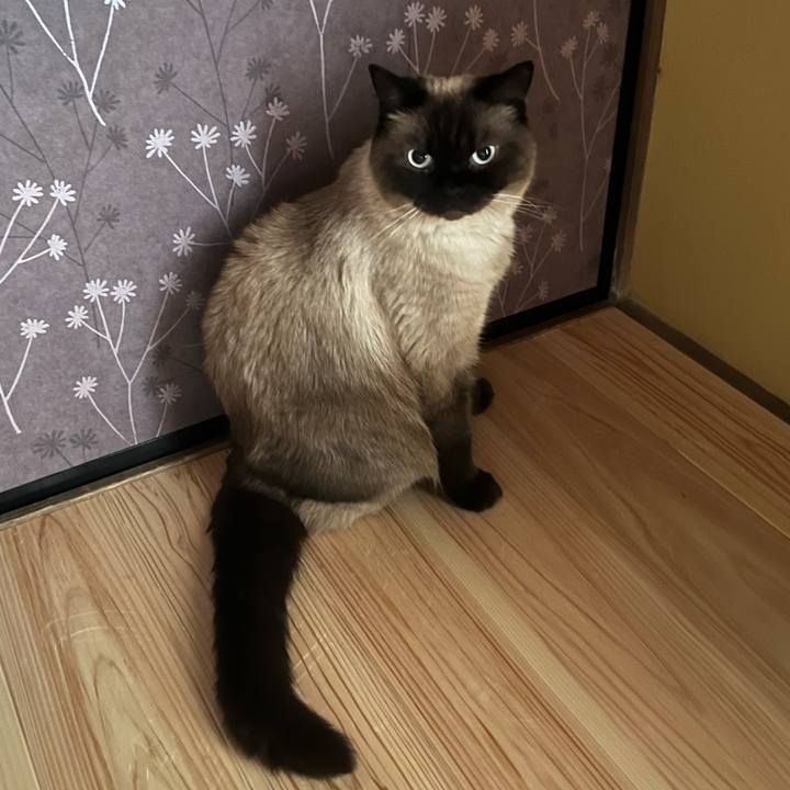 F2489121 e905 4284 98a8 a870d69d57b3 1657287407225