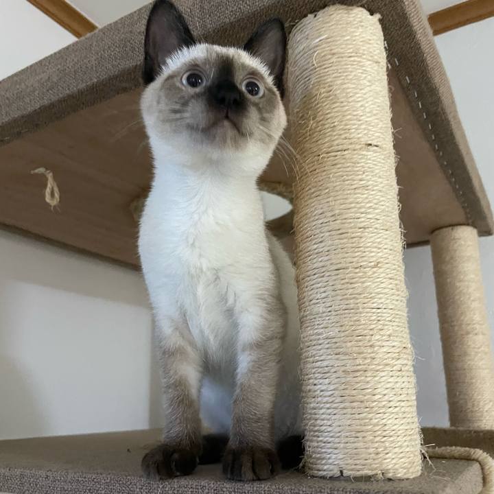 F2489f47 f294 4c7b b047 4fdaf3e0899c 1690919143178