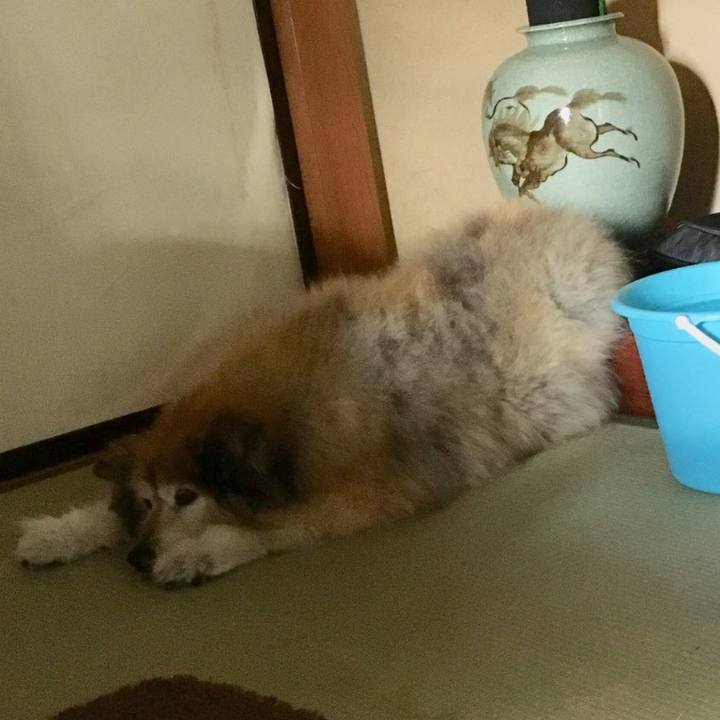 F248be1d 0af7 446d a496 e0ab0acffc77 1555484716521