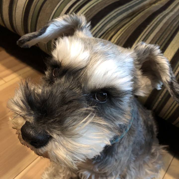 F248c487 4d99 43fa 9b4e 09127d5f5fe9 1586558490215