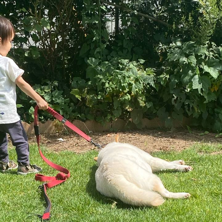 F248cbc7 bdb3 48fe 8484 dfd9119d1e19 1657177756501