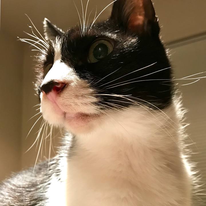 F2491b58 584d 4964 a6ba a113c969274f 1511333882226