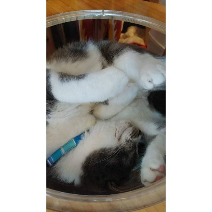 F2492669 c0ee 4a8d 9bfa b9bbfbce0820 1627544997921