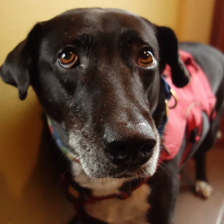 F24955fa 4342 4ec8 ad34 3f34e1845386 1688084423402