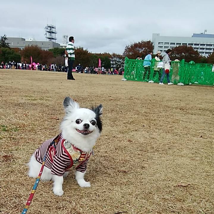 F2496487 4c84 453f abe0 b87f0b1e1341 1574590298508