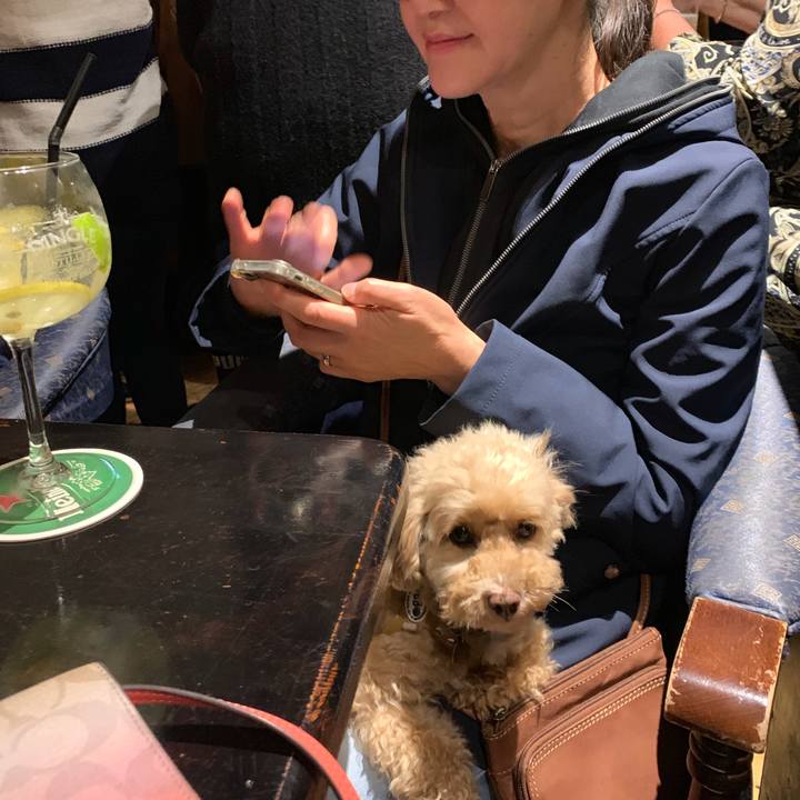 F24985d4 25ce 4be5 8ec7 3f856fe12e3d 1566080810214