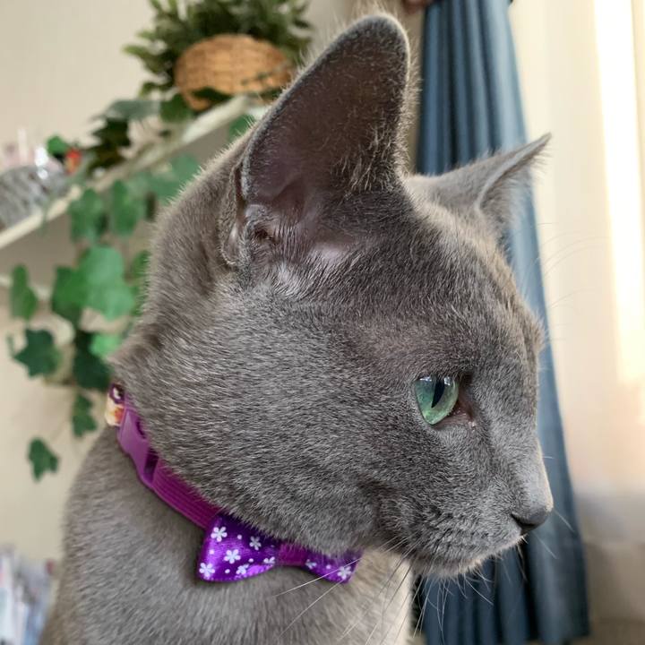 F249abaa e7f1 4020 badb fa355b7f2f79 1574998098753