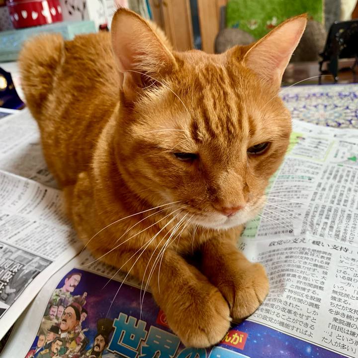 F249c92a a981 46f5 a68e 0d057e5a53cf 1638067311360