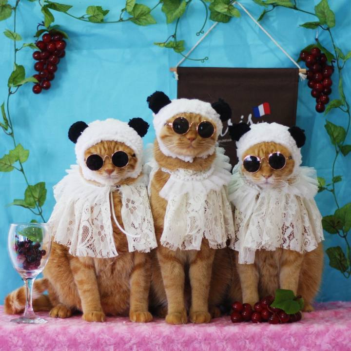 F249edc2 b0e1 4046 9f34 fbcedca24ade 1636178383067