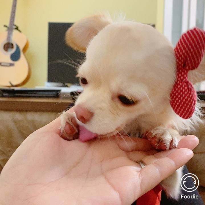 F24a065c 42f8 4059 960f 58520758c14d 1609224909296