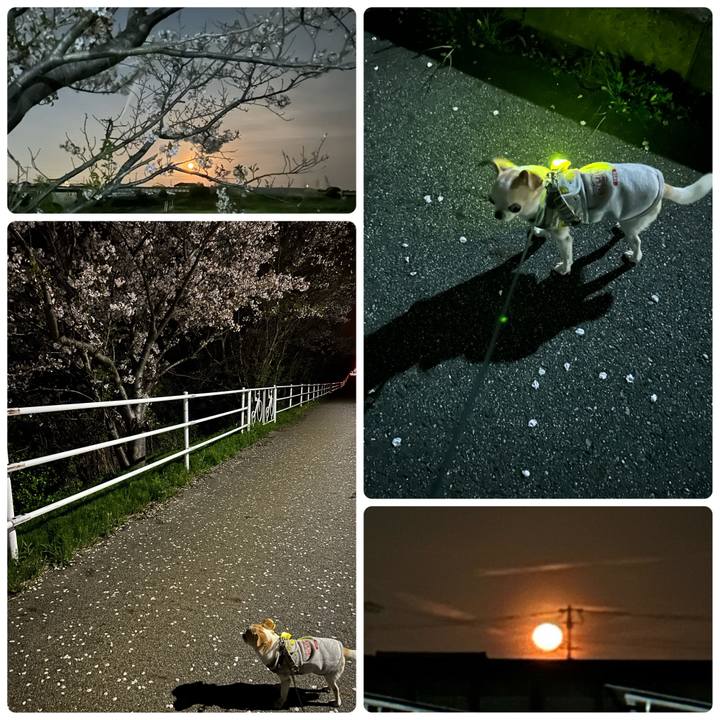 F24a38af d9de 4552 b103 2f7a8e63dad1 1775216242681