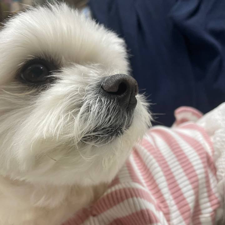 F24a418c 9dc8 415e beed c933b9e24a89 1647518498031