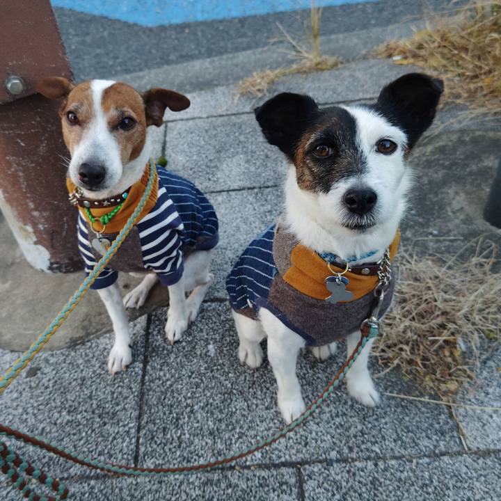 F24a4ea0 52f6 4c27 89df 1797c2d93ec8 1735393739602