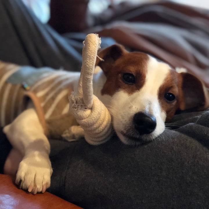 F24a583d 849c 494e b878 e60d42aa581c 1544269307202