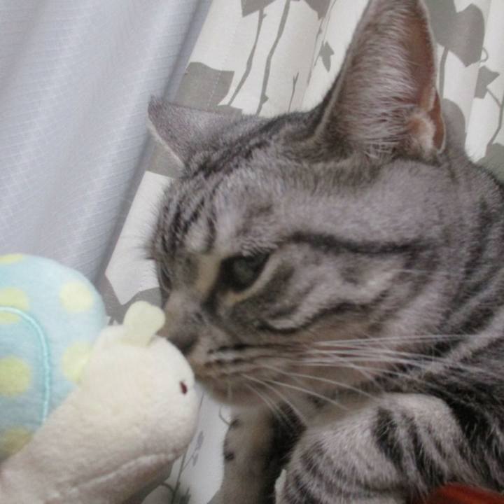 F24a68c7 75e3 4b54 b441 876bc83c72f3 1573910478851