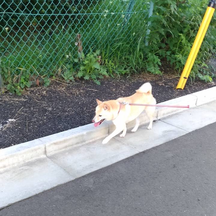 F24acc6b f64e 4ea2 980a 0c90f8644fb3 1599518361908