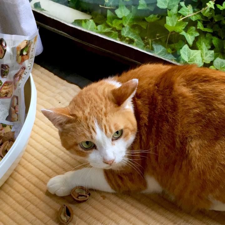 F24ad502 9c31 41fe b3f8 c88ef5928703 1569994386348