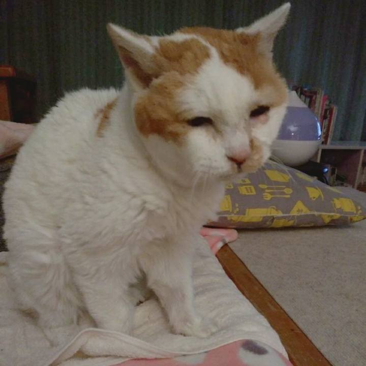 F24af005 7acc 475e aa72 3ab0dc7be3f8 1612517070269