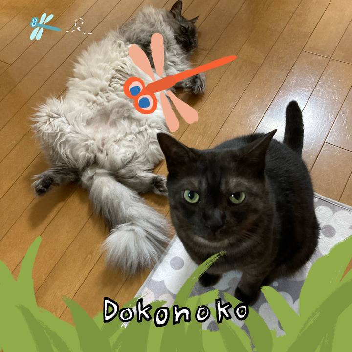 F24b0b0b 2681 42ad b568 65fbf9f4a98c 1727100816374