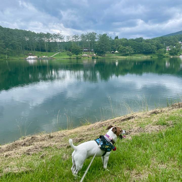 F24b20cb 5431 453c 8f90 3bb15b2e85ad 1722161916134