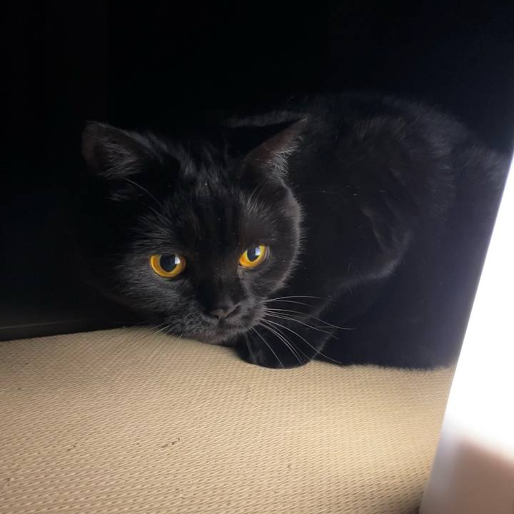 F24b20ec 4970 4d26 9f3c 5f2f613b4700 1621594246564