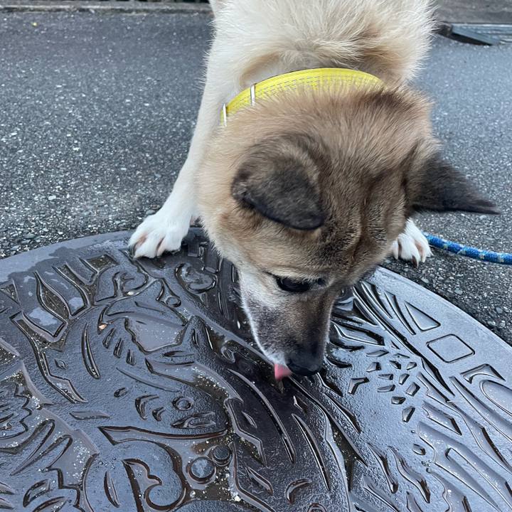 F24b61a7 af6e 4bad 9e7e 71f8e15c733e 1644841138907