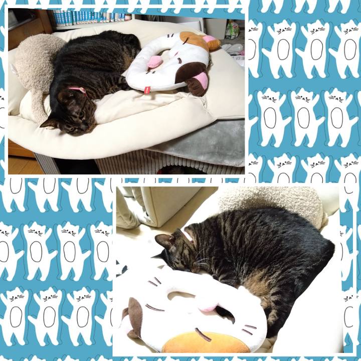 F24b94f8 3dc2 425e 9b35 9e55f3253458 1759482198394