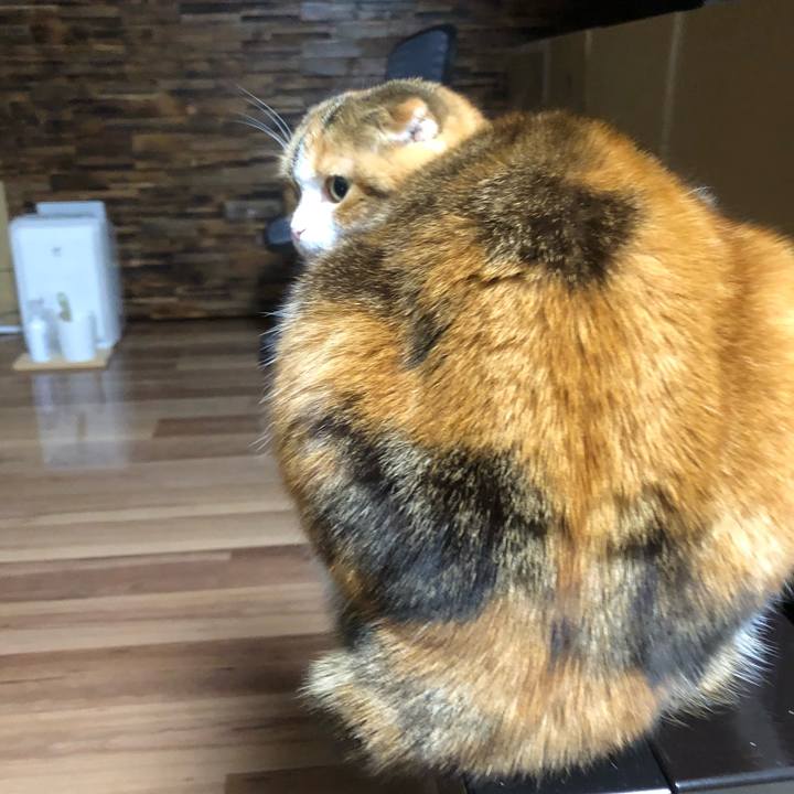 F24ba126 22b1 4f55 938c 8df72d68596c 1607596064074