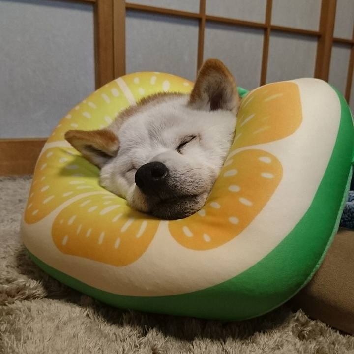 F24bc161 a26f 4c5f a6b0 783c914d000e 1508717181064