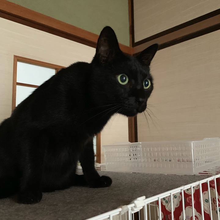 F24bcd2b 489a 4e12 bc78 4d841298e18d 1568335934141