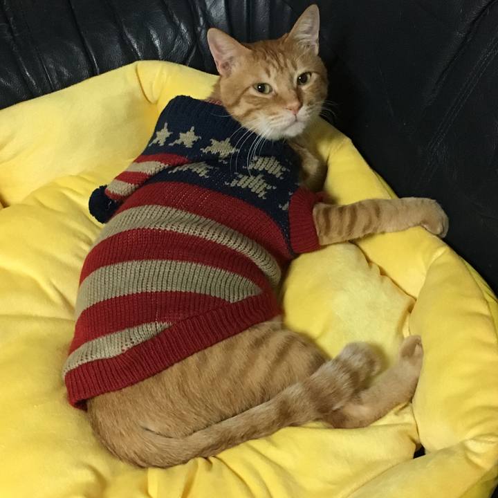 F24bd48e 415a 47db 8df5 73cad20dea06 1539869211536