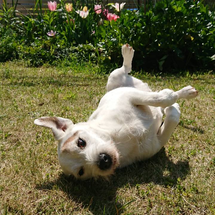 F24c04b7 d8e1 450e ad32 bf08eddfeea3 1586047258191