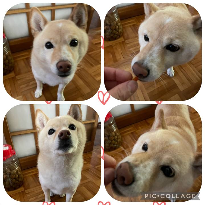 F24c1c57 bcd3 4e43 b4c9 6dc6c66443af 1684276898881