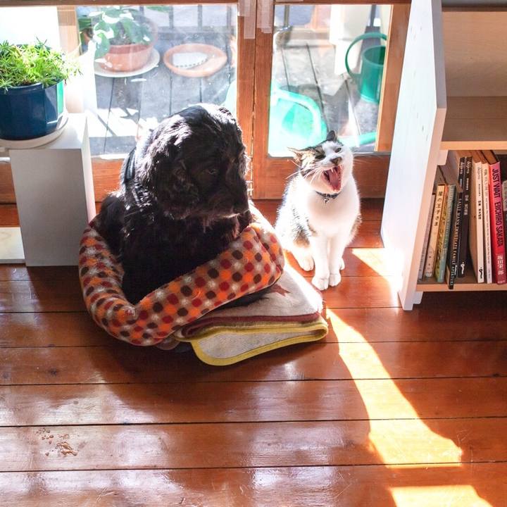 F24c506c 1132 4c6e 831a de418d7ef969 1547728075812